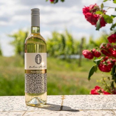 Anton Uhnák Pesecká leánka biele polosladké víno 0,75 l 

Pesecká leánka je extraktívne a harmonické víno plnej chuti. Ide o aromatické vínko s jemnou muškátovou príchuťou s tónmi sviežeho ovocia. Na pozadí je cítiť sušené marhule. 

Táto odroda pochádza z Rumunska a jej pôvodný názov je Feteasca regala. Výnimočne dobre sa tejto odrode darí v Tekovskej vinohradníckej oblasti, kde jedinečný charakter a mineralitu vínam dodáva tufové a andezitové podložie pochádzajúce zo sopečných vyvrenín Štiavnických vrchov.

Toto víno odporúčame podávať pri teplote od 8°C do 12°C. Je vhodné k ľahkým jedlám ako sú ryby a hydina. Výborne sa hodí aj k zeleninovému rizotu, ktoré môžete osviežiť pridaním vína do varenia. Vášmu jedlu dodá jemnosť a výraznejšiu chuť zeleniny.
.
.
.
#vinotekaandre #antonuhnak #peseckaleanka #feteascaregala #bielevino #vino #polosladke #wine #whitewine