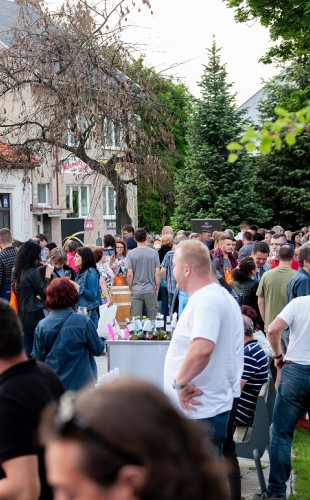 Turčiansky festival dobrého vína 1. ročník